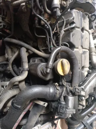 Motor Renault F9Q 1 758