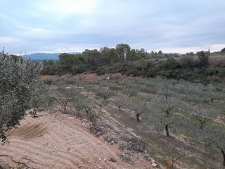 Terreno en venta en Miravet