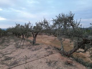 Terreno en venta en Miravet