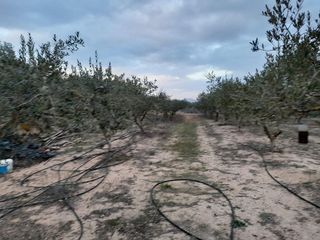 Terreno en venta en Miravet