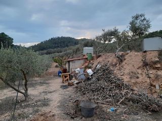 Terreno en venta en Miravet