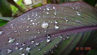 Cámara Sony Cybershot HX350 Negra