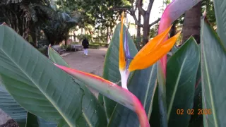 Cámara Sony Cybershot HX350 Negra