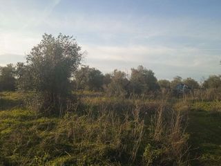 Terreno en venta en Pilas