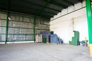 Nave industrial en venta en Alfara de Algimia