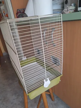 Jaula para pájaros blanca y verde