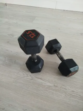 Mancuernas Goma Decathlon 12.5Kg (Par)