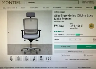 Silla de escritorio ergonómica gris