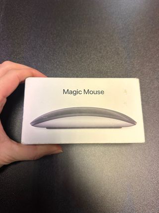 Apple Magic Mouse Plata