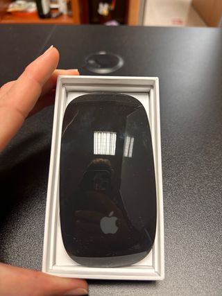 Apple Magic Mouse Plata