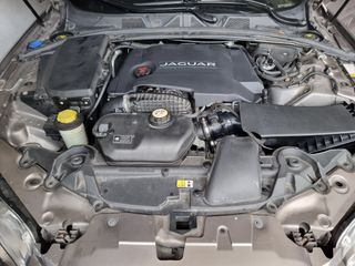 Jaguar XF Luxury 3000D V6p