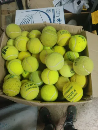 Pelotas de pádel usadas