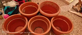 SET Jardineras de plástico bandeja macetas y spray