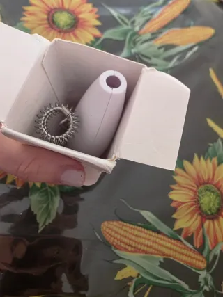 Frullatore portatile per schiuma