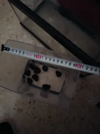 2 Acuarios de cristal y otro de plástico