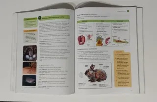 BIOLOGY AND GEOLOGY 1 ESO STUDENT'S BOOK