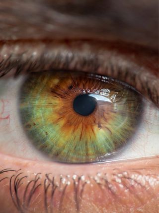 Sony 90mm f/2.8 GM Macro impoluto