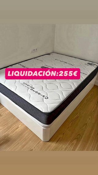 Canape canape canape canape canape canape