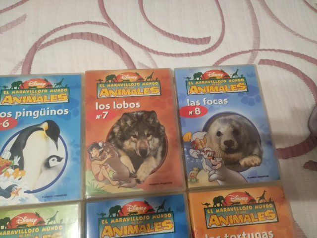 26 DVD El Maravilloso Mundo de los Animales
