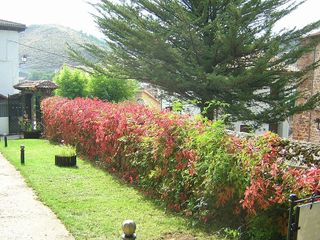 Chalet en alquiler en Ortigosa de Cameros