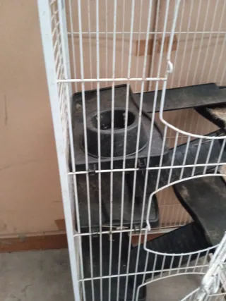 Jaula para cobayas o roedores