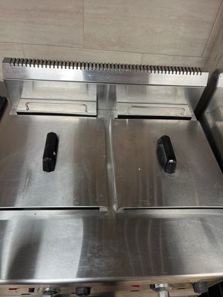 Freidora de gas profesional