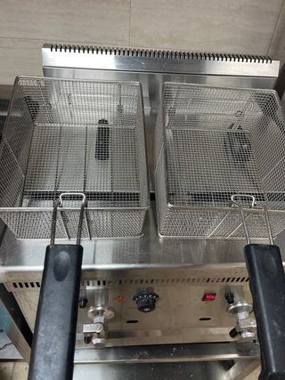 Freidora de gas profesional