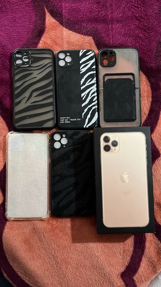 Fundas y caja iPhone 11 Pro Max