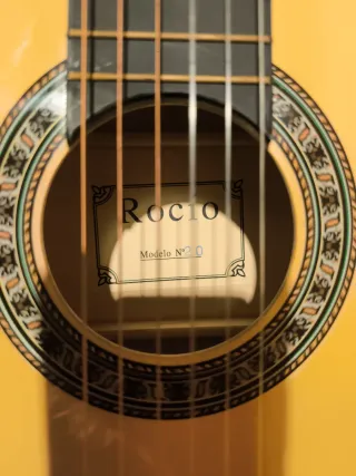 Guitarra Rocio N. 20