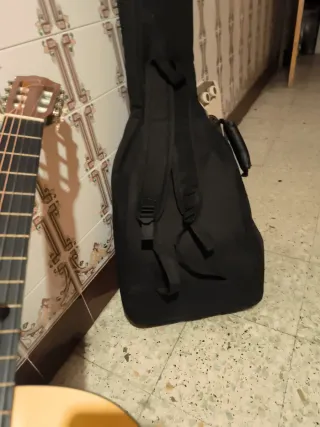 Guitarra Rocio N. 20