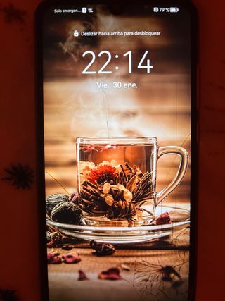 Huawei P Smart 2019 + custodia