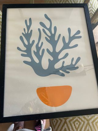 Cuadro Decorativo Coral y Círculo