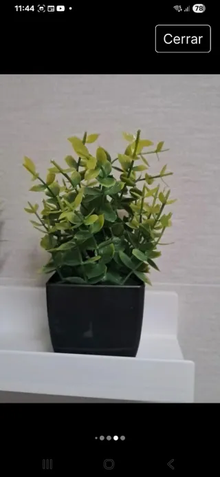 4 mini Plantas Artificiales Decorativas