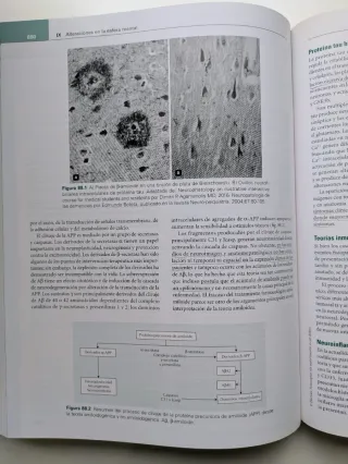 Tratado De Medicina Geriatrica