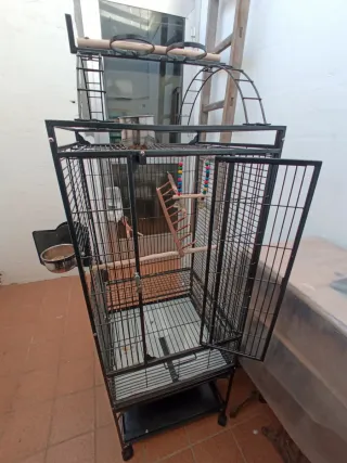 Jaula para loro