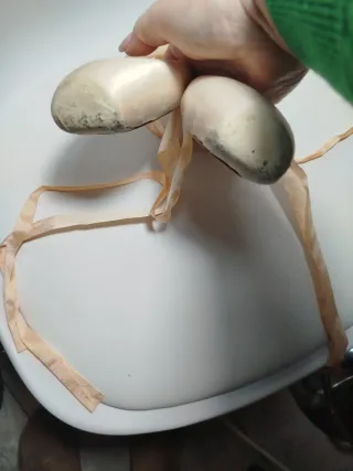 Punte danza classica Grishko tg. 2 1/2