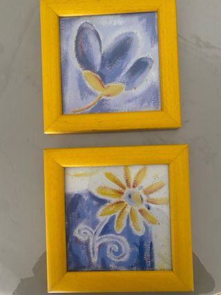 2 Cuadros Decorativos Florales