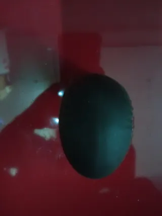 Pomo cambio BMW cuero