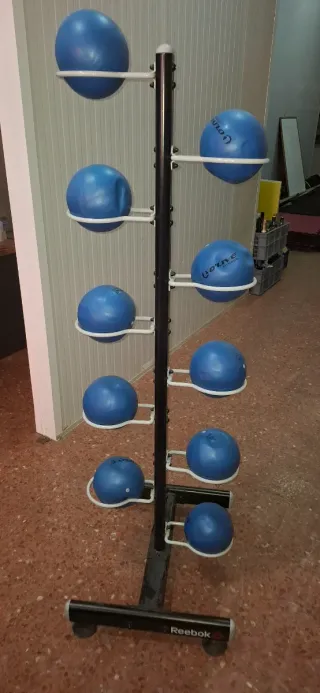 Mancuernas Technogym (varios pesos)