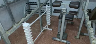 Mancuernas Technogym (varios pesos)