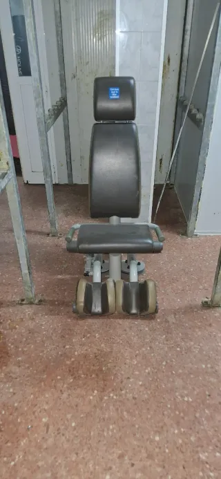 Mancuernas Technogym (varios pesos)