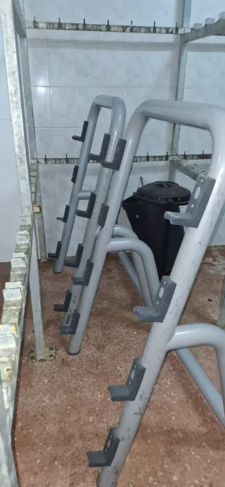 Mancuernas Technogym (varios pesos)