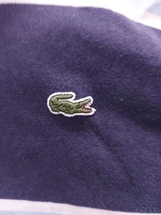 Polo Lacoste Manga Larga Talla L