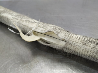 AIRBAG CORTINA DELANTERO IZQUIERDO MERCEDES-BENZ