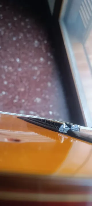 Laúd español con funda