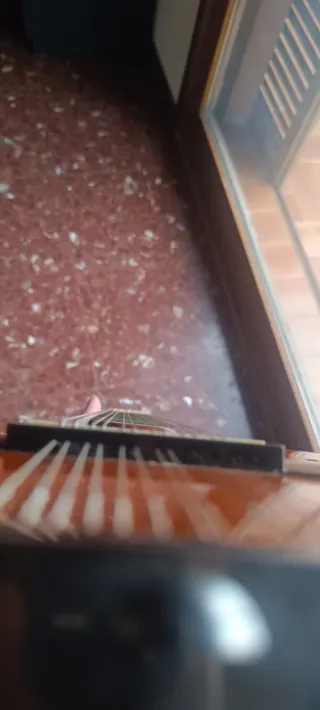 Laúd español con funda