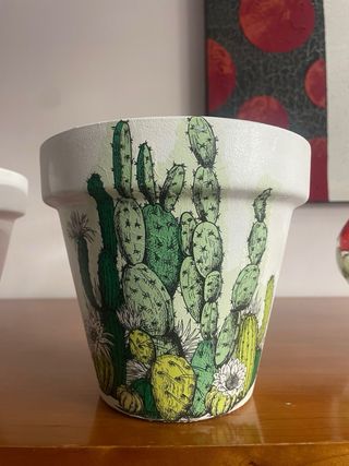 Lote 4 Macetas Cerámica Cactus