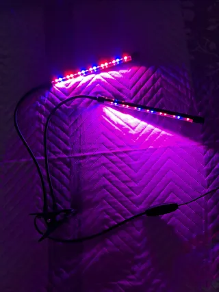 Luz LED para crecimiento de Plantas