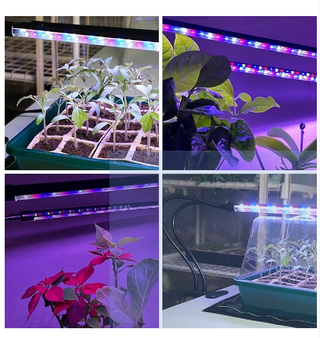 Luz LED para crecimiento de Plantas