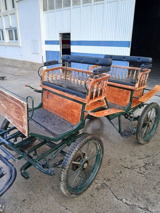 Arreos y correajes para remolque de caballos